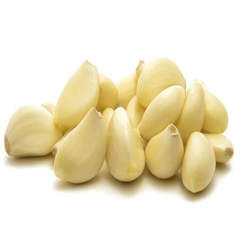 'garlic', 'fresh garlic', 'cheap fresh garlic'